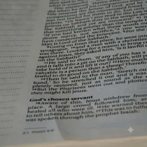 Traducción Jurídica Profesional